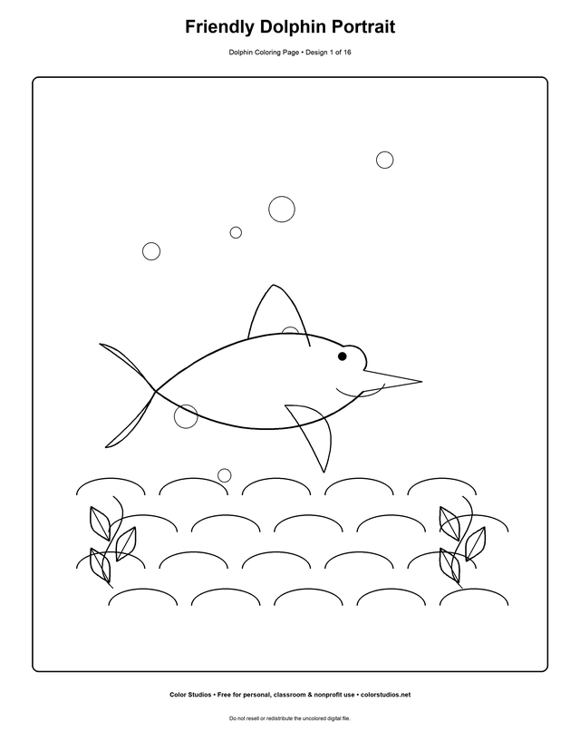 Friendly Dolphin Portrait, an original dolphin coloring page