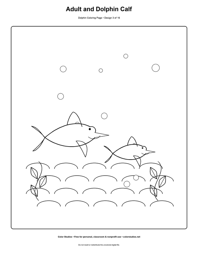 Adult and Dolphin Calf, an original dolphin coloring page with detailed complexity