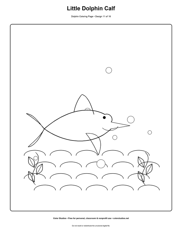 Little Dolphin Calf, an original dolphin coloring page with medium complexity