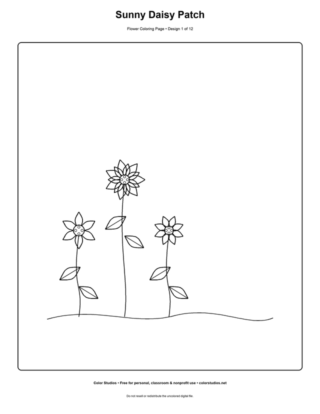 Sunny Daisy Patch, an original flower coloring page