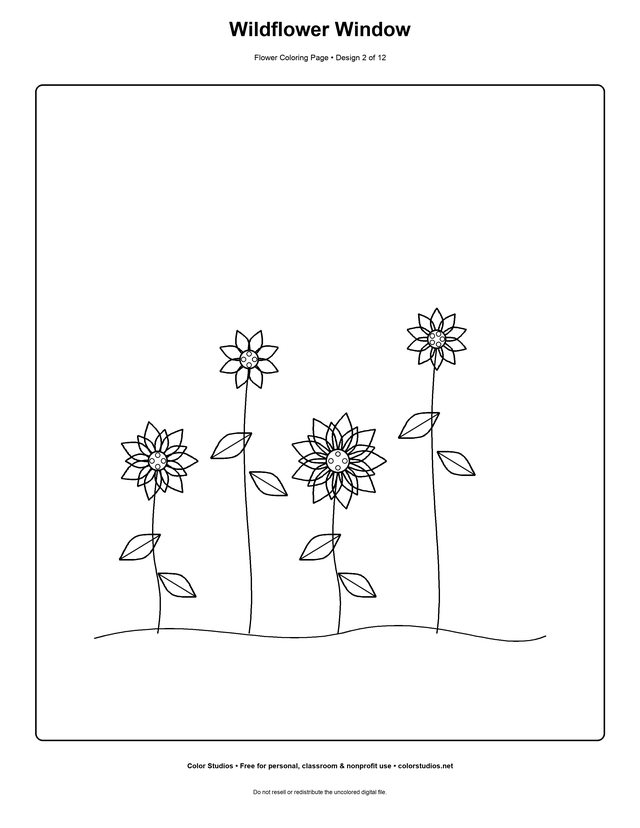 Wildflower Window, an original flower coloring page with medium complexity