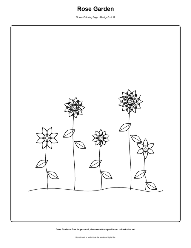 Rose Garden, an original flower coloring page with detailed complexity