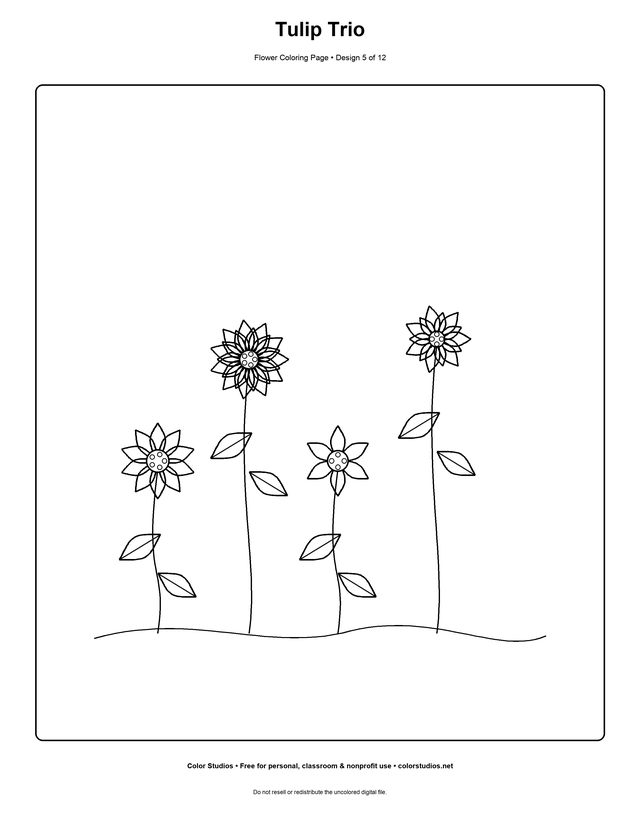 Tulip Trio, an original flower coloring page with medium complexity