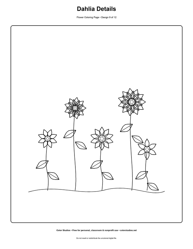 Dahlia Details, an original flower coloring page with detailed complexity