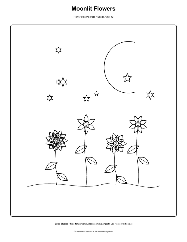Moonlit Flowers, an original flower coloring page with detailed complexity