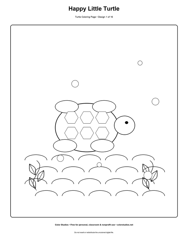 Preview of an original turtle coloring page