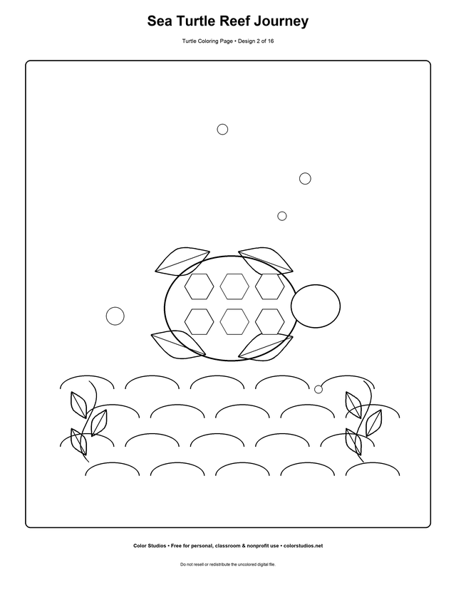 Sea Turtle Reef Journey, an original turtle coloring page with medium complexity