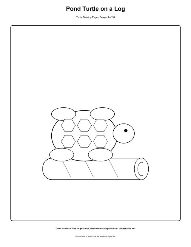 Pond Turtle on a Log, an original turtle coloring page with detailed complexity