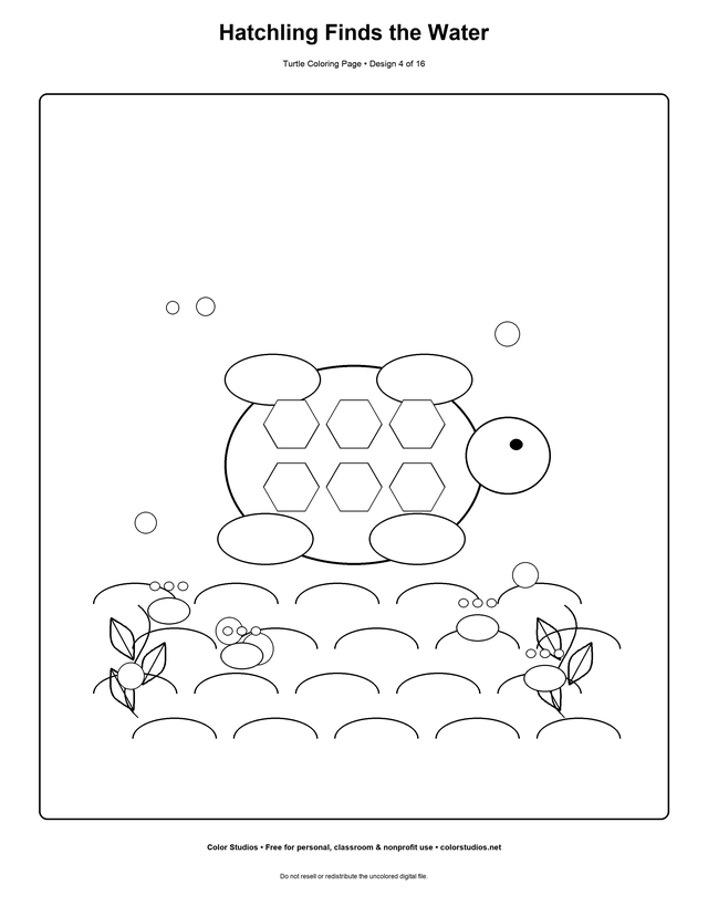 Hatchling Finds the Water, an original turtle coloring page with easy complexity