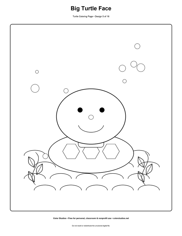 Big Turtle Face, an original turtle coloring page with medium complexity