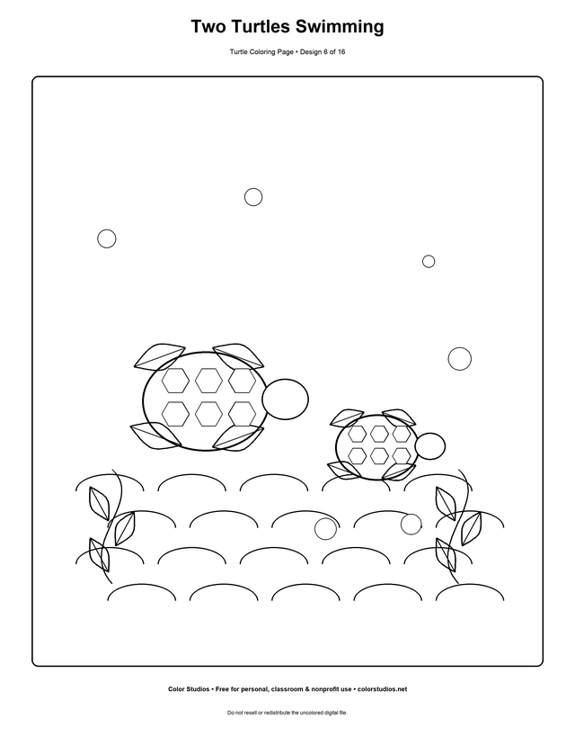 Two Turtles Swimming, an original turtle coloring page with detailed complexity