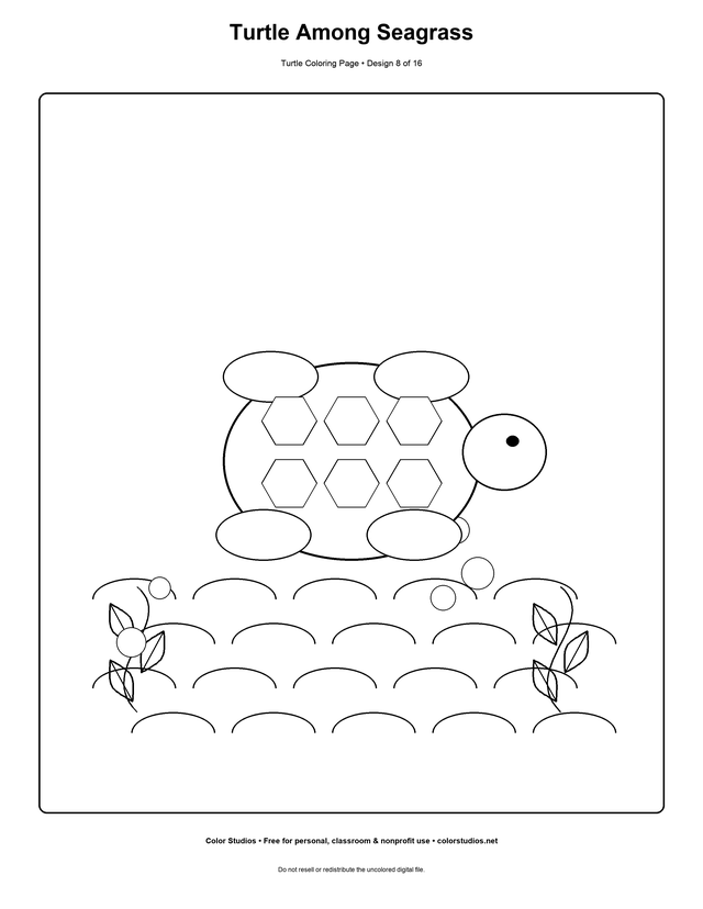 Turtle Among Seagrass, an original turtle coloring page with medium complexity