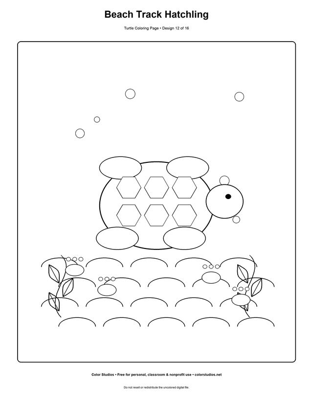 Beach Track Hatchling, an original turtle coloring page with detailed complexity