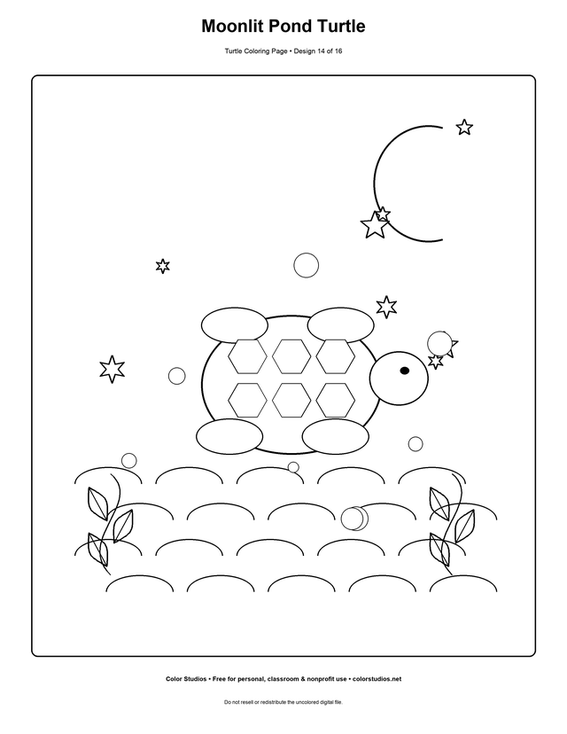 Moonlit Pond Turtle, an original turtle coloring page with medium complexity